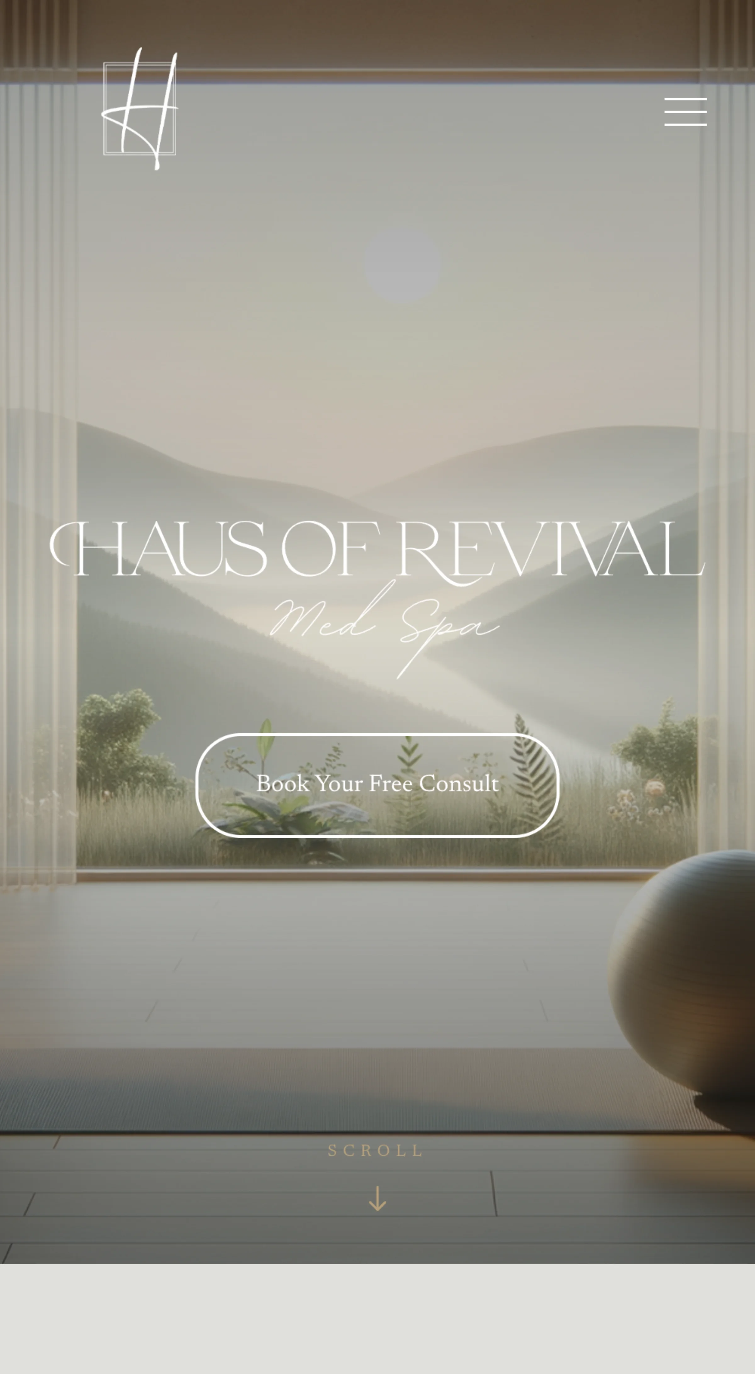 Haus of Revival — mobile homepage